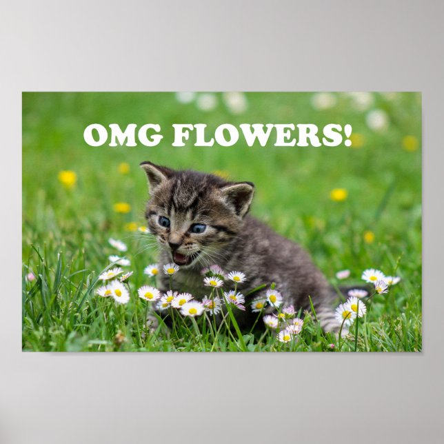 Cute Funny Kitten Loving Flowers Poster (Front)