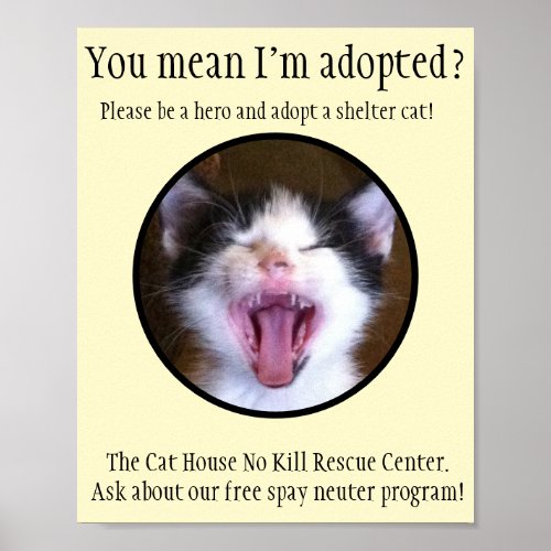 Cute Funny Kitten Photo Adopt a Shelter Cat Poster