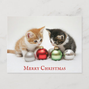 Cute Funny Merry Christmas Kitten Cat Postcard