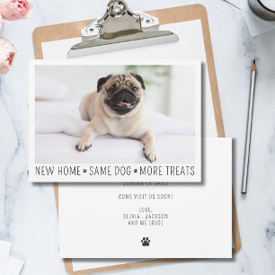 Cute Funny Modern New Home Photo Pet Dog Note Card