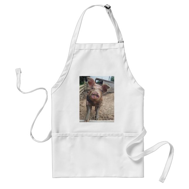 Cute, funny muddy pig apron (Front)
