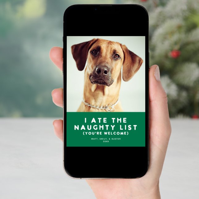 Cute Funny Naughty List Pet Photo Christmas Green Holiday Card (Front Digital)