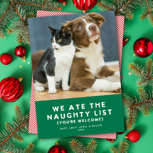 Cute Funny Naughty List Pet Photo Christmas Green Holiday Card