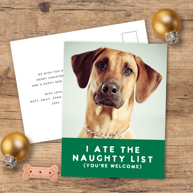 Cute Funny Naughty List Pet Photo Christmas Green Holiday Postcard (Creator Uploaded)