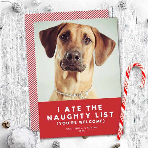 Cute Funny Naughty List Pet Photo Christmas Red Holiday Card