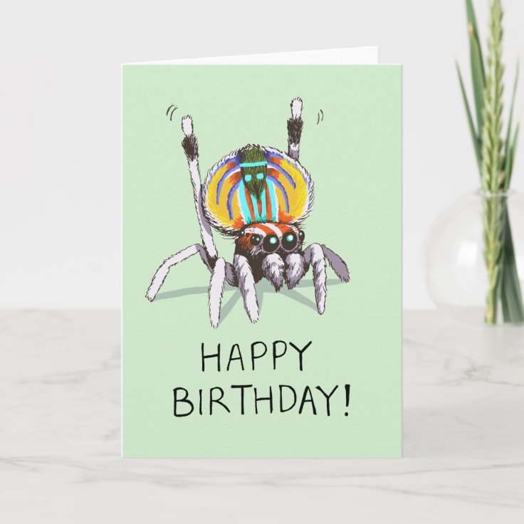 Cute Funny Peacock Spider Happy Birthday Card | Zazzle