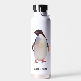 Cute Funny Penguin Water Bottle