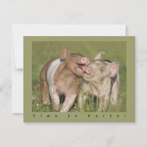 Cute Funny Piglets Birthday Party Personalized Invite