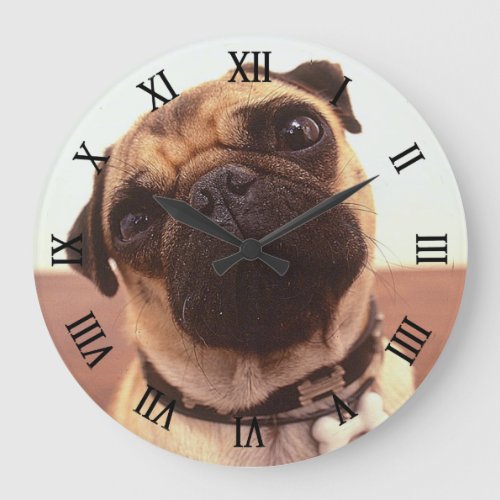 Cute Funny Pug Close_Up Large Clock