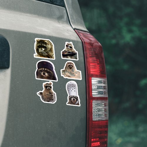 Cutefunny Raccoon tiktok meme pack sticker bundle