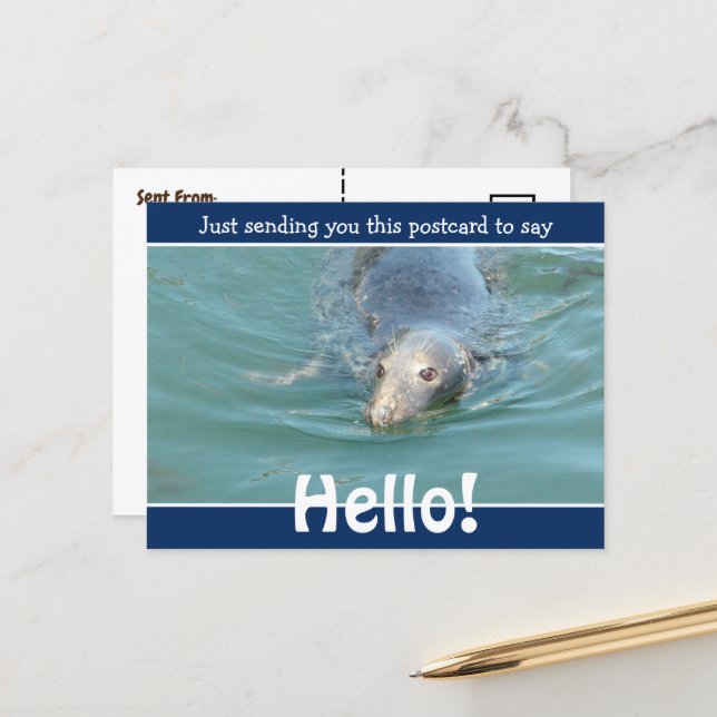 Hello Funny Inages Funny Hello Sayings