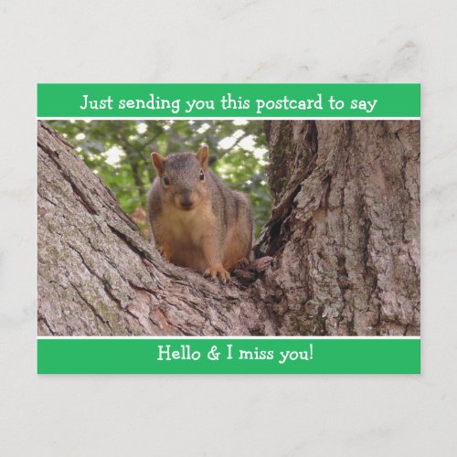 Cute Funny Squirrel Just saying Hello and Miss You Postcard