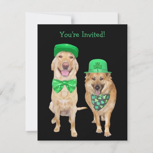 Cute Funny St Patricks Day Irish Dogs Invitation