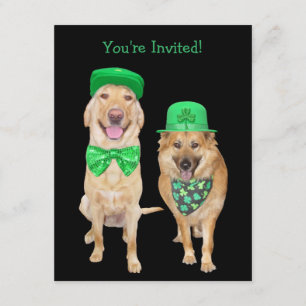 Cute, Funny St. Patrick's Day Irish Dogs Invitation