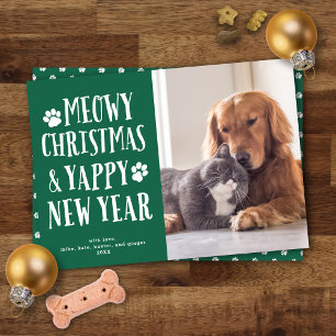 Cute Funny Type Pet Dog + Cat Holiday Photo Card