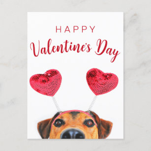 Cute Funny Valentine's Day Dog Heart Headband Holiday Postcard
