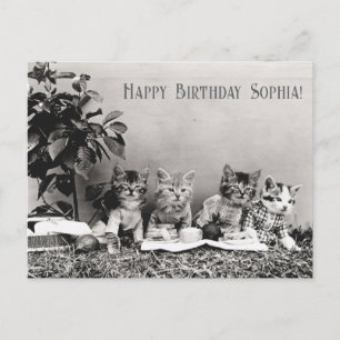 Cute Funny Vintage Cat Birthday Party Picnic Postcard