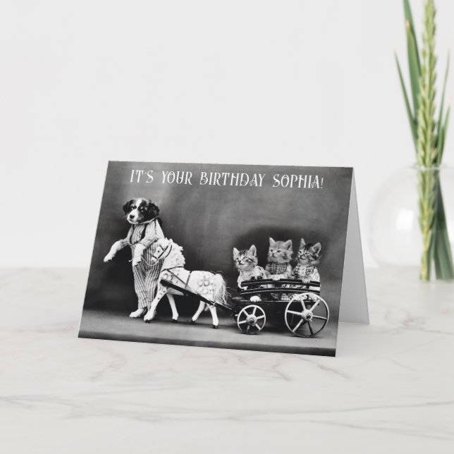 Cute Funny Vintage Dog Cat Pony Birthday Card (Front)