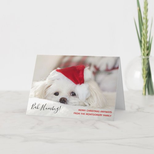 Cute Funny White Dog Christmas Bah Humbug Card