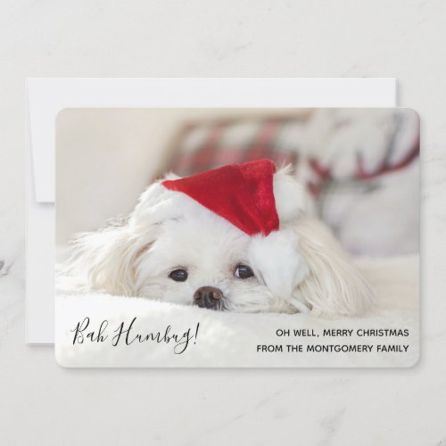 Cute Funny White Dog Christmas Bah Humbug Holiday Card