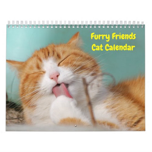 Cute Furry Friends Cat Calendar