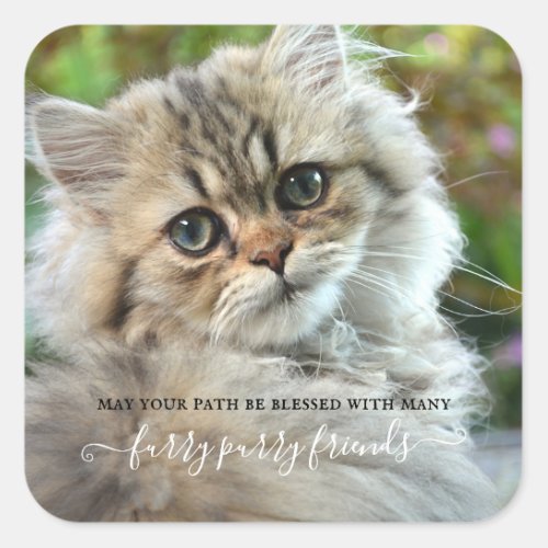 Cute Furry Purry Cat Lovers  Square Sticker