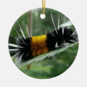 Cute Fuzzy Caterpillar Ceramic Ornament