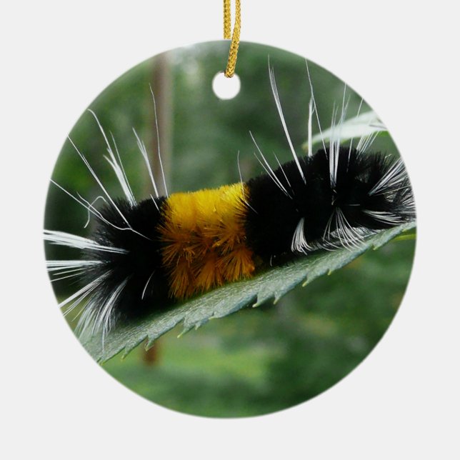 Cute Fuzzy Caterpillar Ceramic Ornament (Front)