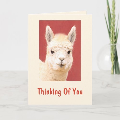 Cute Fuzzy Llama Get Well Card