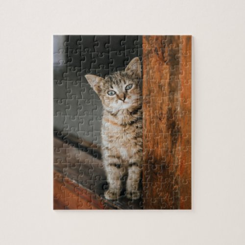 Cute Fuzzy Tabby Kitten Rubbing Doorway Cat Photo Jigsaw Puzzle