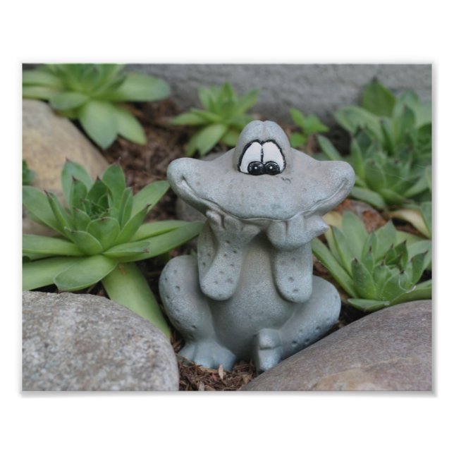 Cute Garden Frog Succulent Garden 8x10  Photo Print (Front)