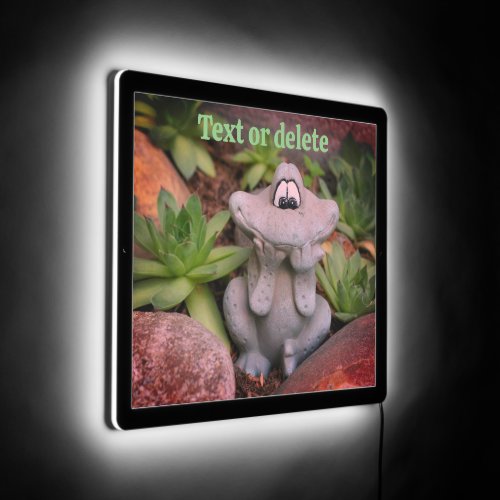 Cute Garden Frog Succulent Garden Personalized LED Sign