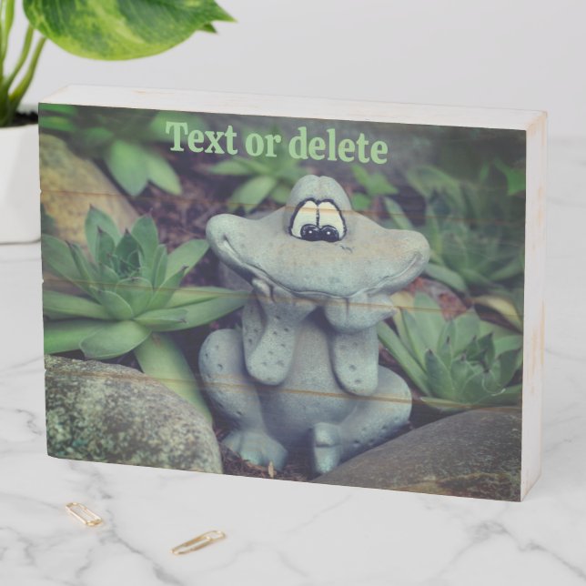 Cute Garden Frog Succulent Garden Personalized Wooden Box Sign (In Situ Horizontal)