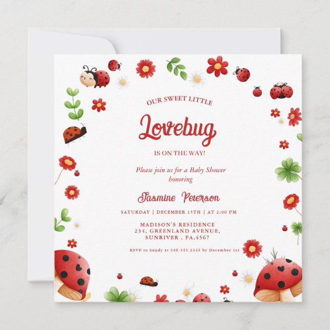 Cute Garden little ladybug baby shower Invitation (Front)