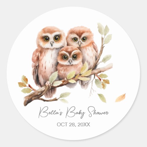 Cute Gender Neutral Owl Baby Shower  Classic Round Sticker