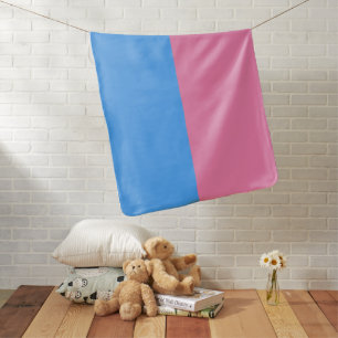 Cute Gender Reveal Ideas, Baby Blanket