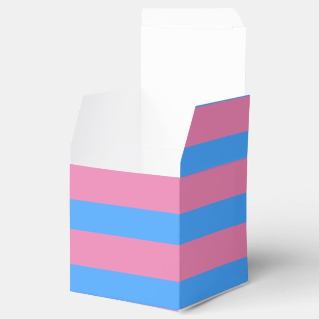 Cute Gender Reveal Ideas,  Favor Box (Opened)