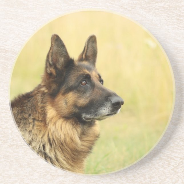 Cute German Shepherd Coaster (Front)