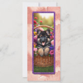 Cute German Shepherd Dog In A Basket (Front)