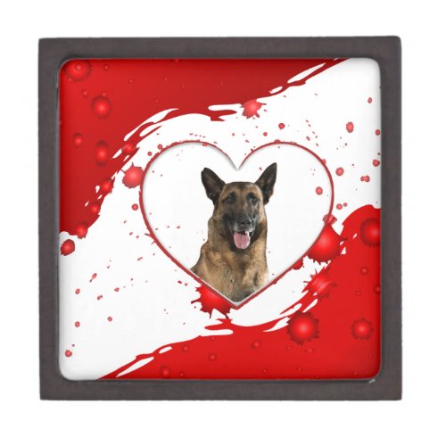 Cute German Shepherd Dog inside Red Heart Gift Box