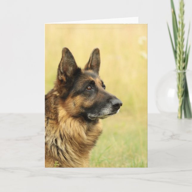 Cute German Shepherd Greeting Cards (Front)
