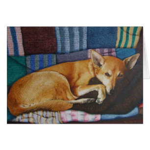 cute german shepherd labrador dog sleeping cards