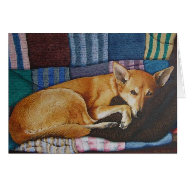cute german shepherd labrador dog sleeping cards (Front Horizontal)