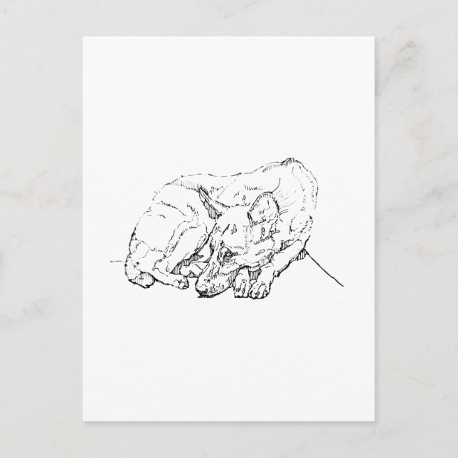 Cute German Shepherd Personalized Postcard (Front)