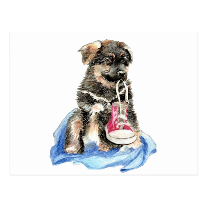 Cute German Shepherd Pup, Dog, Pet animal Post Card