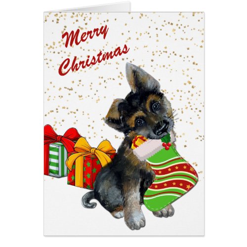 Cute German Shepherd Puppy and Stocking