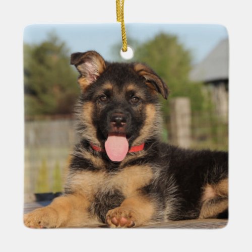 Cute German Shepherd Puppy Dog Ceramic Ornament