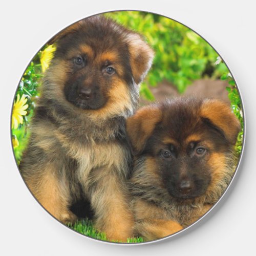 Cute German Shepherd Pups  Wireless Charger