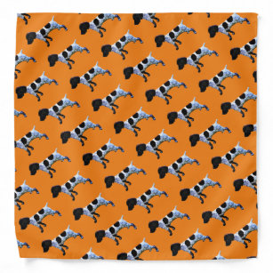 pointer dog clothing