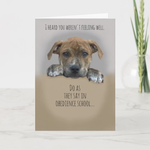 Cute Get Well Card with Puppy